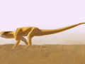 1699120606.fellfallow_yellow_drake_run_fellfallow.gif