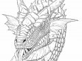 Black_white_dragon_portrait_by_Tacimur.jpg