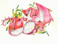 dragonfruit_surprise_by_hbruton_dckyd7p.jpg