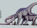 PM-sauropod_sex.jpg