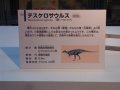 thescelosaurus3.jpg