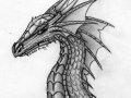 DragonHeadSketch_oakendragon_by_Black_Dragon_Club.jpg