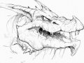 Rdragon_Headsketch.jpg