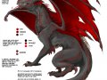 Lieander_Ref_Sheet_Dragon_by_kiraxlee.jpg