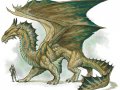 bronze-dragon.jpg