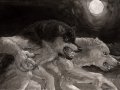 Running_Werewolves___Shaded_by_FerosWolf.jpg