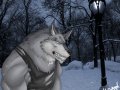 Snow_Wolf_by_Enydimon.jpg