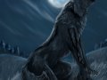 Weremoon_by_Yellow_eyes.jpg