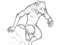 Werewolf_sketch_by_TardisCat.jpg