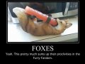 foxes_furry.jpg