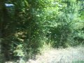 DSC04393.JPG