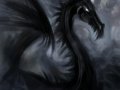 black_dragon.jpg