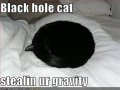 funny-pictures-black-hole-cat-steals-your-gravity.jpg