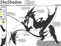 Razhin_Dar_Skyshadows_Ref_sheet.jpg