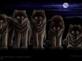 The_Kohzah_Pack___Dire_Wolves_by_lenzamoon.jpg