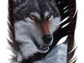 Wolf_Head_on_Feather___Acrylic_by_lenzamoon.jpg