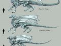 Ice_Dragon_Scales_by_Tarjcia.jpg