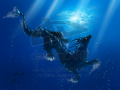 Underwater_by_Chilkat.png