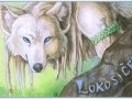 Conbadge_for_Lokosicek_by_Yaguara.jpg