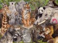 Conference_of_Animals_by_bloodhound_omega.jpg