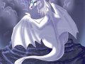 White_Dragon_by_sighthoundlady.jpg