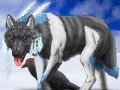 Wolf_and_Raven_by_derSheltie.jpg