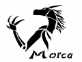 1146349484.jo-shadow_morca_vector_body_by_jo_shadow.png