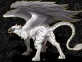 1232337334.narse_runa_gryphon_art_small.jpg