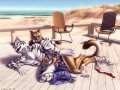 1256028931_zanderstealthpaw_fun_in_the_sun.jpg