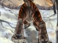 1285423596_bagheera_mab_amurtiger-small.jpg