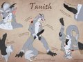 1312865783_spelunkersal_tanith-dragon_refsheet_web.jpg