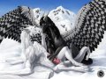 1323773415.dragonlovers_ardent_winter.jpg