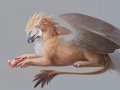 1527347272.fellfallow_2hr_gryphon.jpg