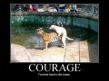 633679750258850022-couragefortunefavorsthebrave.jpg