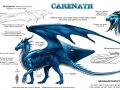 Carenath_ref_sheet_by_rah_bop.jpg