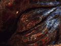 Smaug+_+Can+t+wait+for+thissss_fdac59_4372705.gif