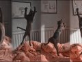 cat_ballet_by_cougarLV.jpg