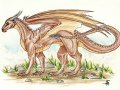 draconniss_7821213021-8666.jpg