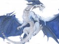 dragon_by_indigod3stiny-d6g6kk2.jpg