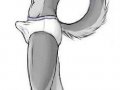 m_1255885660253_Wolf_in_Undies.jpg