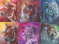 tigercolours_by_dawndelver-d38c7ca.jpg