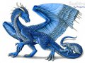 a_1233087439639_Saphira_by_Dragarta.jpg