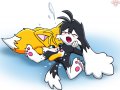 1148731610.twotails_tails-and-klonoa-4-06.jpg