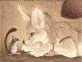 1201022081.darknatasha_playtimefennec.jpg