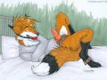 a_1205538861151.redrumwolf_straitfox.jpg