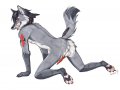 wingedwolf_-_Yiffy_-_5719.jpg