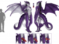 1515278998.wolfofstorms__ref_sheet_by_shysiren__marked_.png