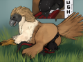 1562342063.torakuta_img_2173b2mv_torakuta.png