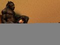 1606760681.tsaiwolf_tsaiwolf-cm2020-example.jpg