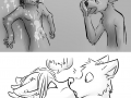 3978a3b617d5fd9241145ea4503a9d26.png